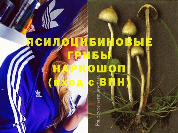 PSILOCYBIN Балабаново